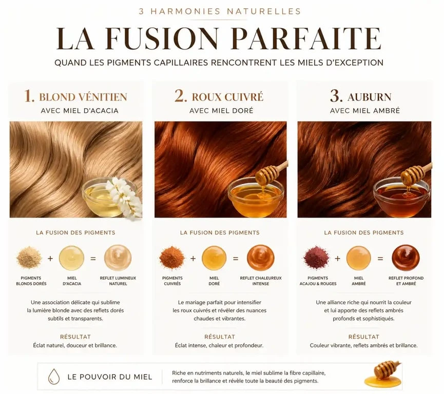 Infographie montrant les différentes associations de meche rousse et miel selon la base de cheveux